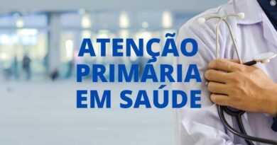 Atenção primária em Saúde e Saúde da Família, ESF