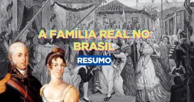 Resumo sobre a Família Real no Brasil, Família Real no Brasil, sobre a Família Real no Brasil