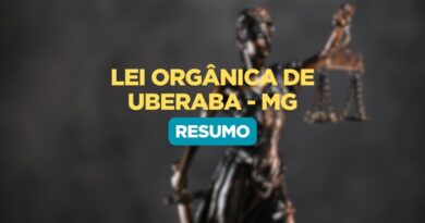 Resumo da Lei Orgânica de Uberaba, Lei Orgânica de Uberaba, Resumo Lei Orgânica de Uberaba Minas Gerais