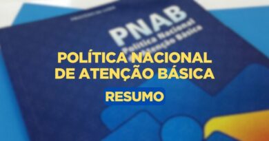 Resumo da Política Nacional de Atenção Básica, Política Nacional de Atenção Básica, Atenção Básica