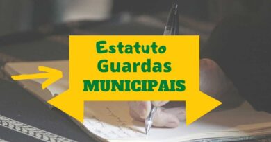 Resumo Estatuto Geral das Guardas Municipais, Estatuto GCM